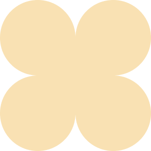 کفش عروس